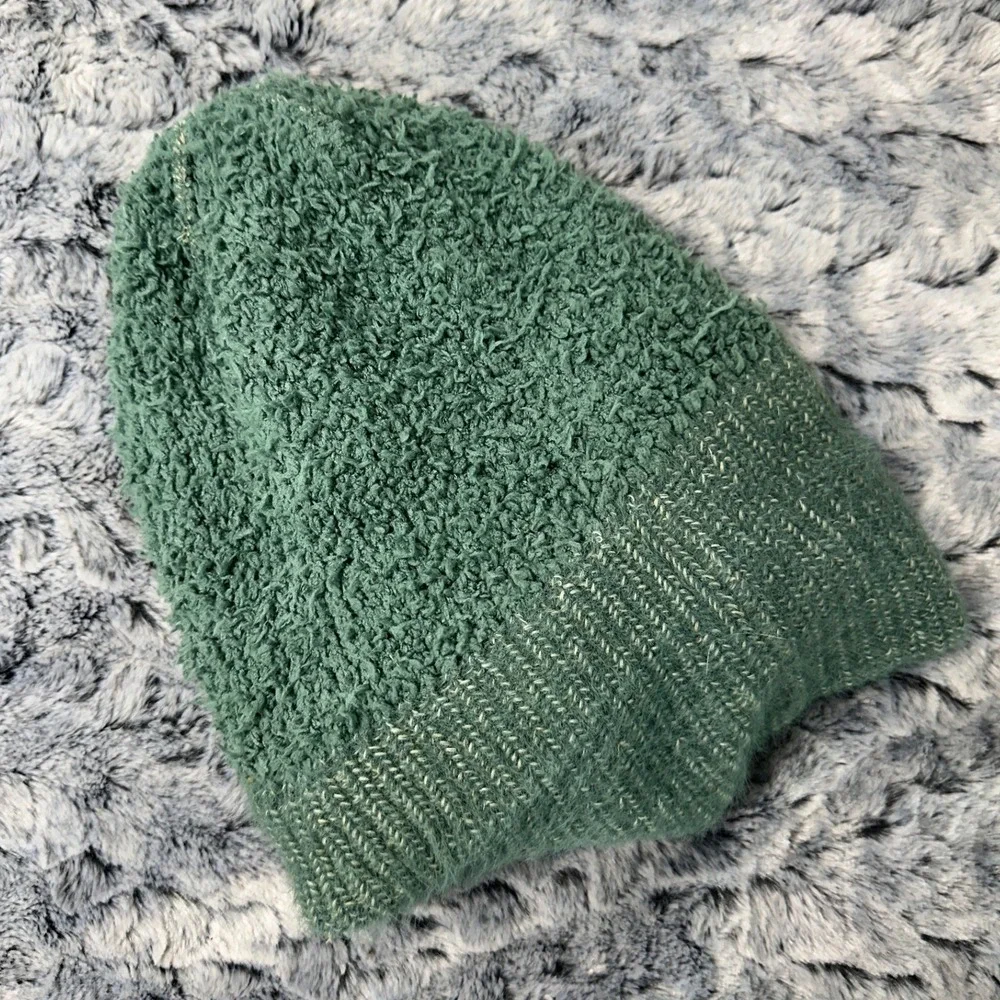 The North Face Salty Bae Lined Beanie Sage Knit Cuffed Logo / Women's One Size